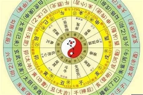 天干地支 算命|八字算命器